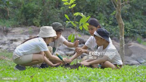 Image result for Group Portfolio HTML CSS JavaScript
