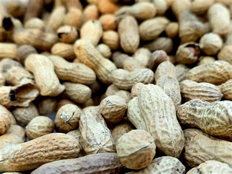 Pile of unshelled peanuts in their shells. photo – Free Food photography Image on Unsplash