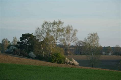 Breckie Hill OnlyFan Leaks – De laatste updates en reacties - Amsterdam Nieuws