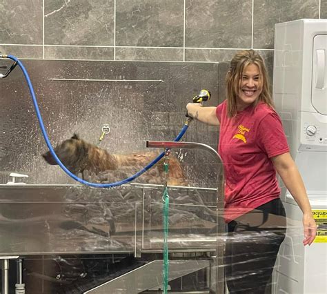 Services | Hollywood Feed | Your Local Pet Food Experts