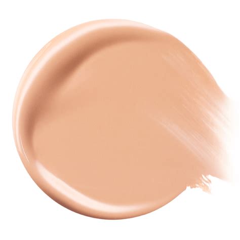 Liquid Touch Brightening Concealer • 220C