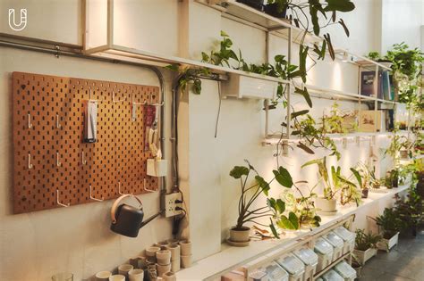 Plant Workshop Cafe คาเฟ่ต้นไม้ในย่านราชเทวี - Urban Creature