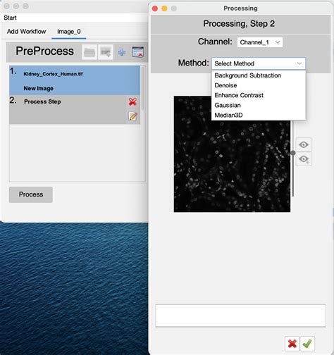 Image result for Image Processing Using ImageJ