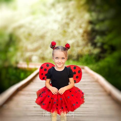 Baby Ladybug Costume
