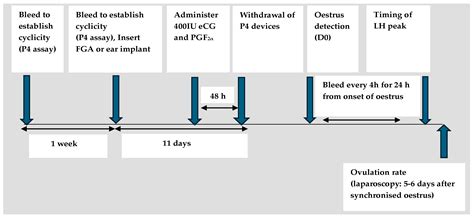 Use of Short-Term CIDR-Based Protocols for Oestrus Synchronisation in ...