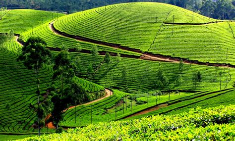 KODAIKANAL Reviews, Tourist Places, Tourist Destinations, Tourist ...