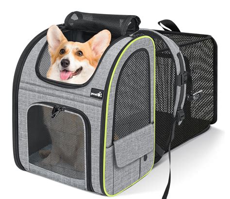 Xl Large Dog Carrier at Randy Stambaugh blog