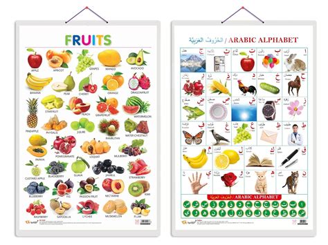 Buy Pack of 2 Arabic Alphabet (Arabic) and Fruits Educational charts ...