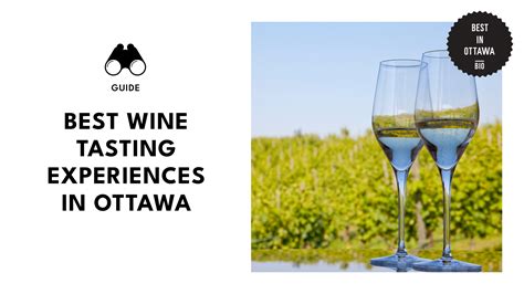 Indulge in Style With Ottawa’s Top Wine-Tasting Adventures [2025]