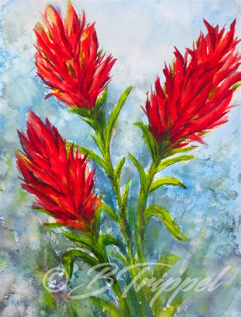 Indian Paintbrush Flower