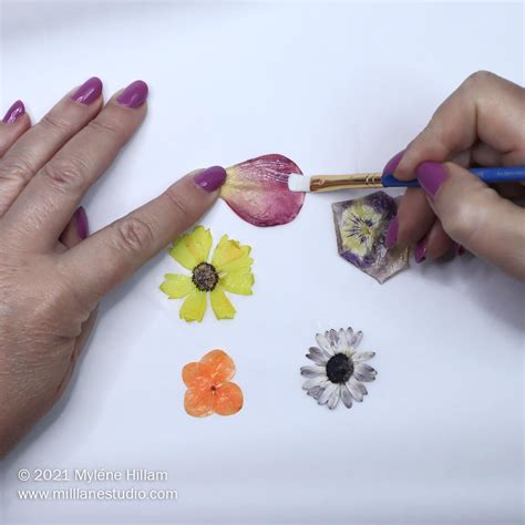 How to Seal Flowers for Resin | Mill Lane Studio
