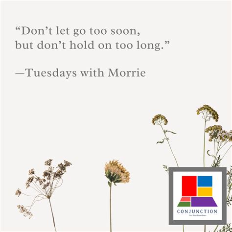 Tuesdays with Morrie by Mitch Albom: Inspirational Quote