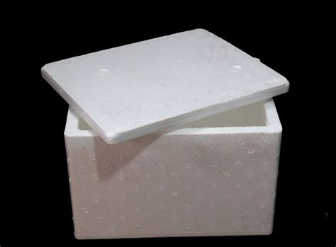 Thermocol Box - Thermocol EPS Small Pharma Box Manufacturer from Howrah