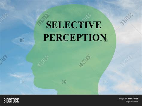 Image result for Selective Perception Examples