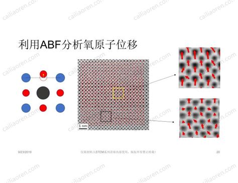 Stem OBF 的图像结果