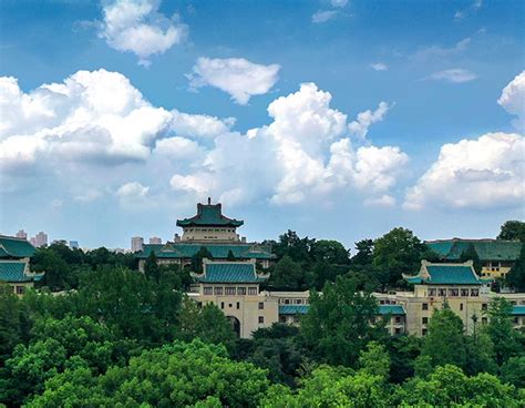 武汉大学2020年国际学生文化日活动圆满落幕-武汉大学国际教育学院