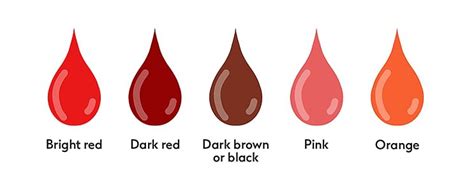 What Your Period Blood Says About Your Body? – sustainme.in