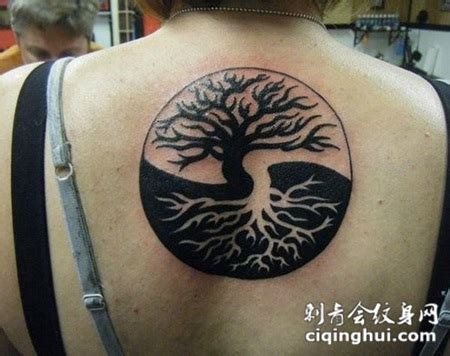 背部黑白的亚洲阴阳八卦符号和树纹身图案(图片编号:186268)_纹身图片 - 刺青会