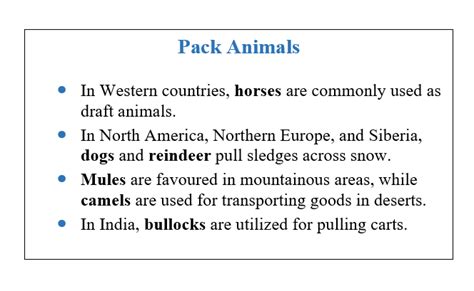 Transport and Communication Class 12 Geography