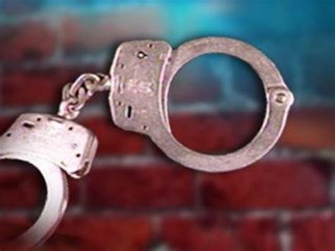 Teen, ten others charged in drug busts in Chester Co.