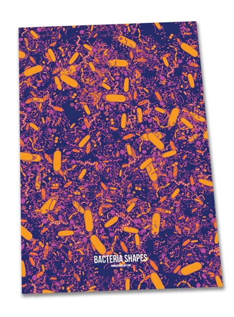 Microscope Bacteria 的图像结果