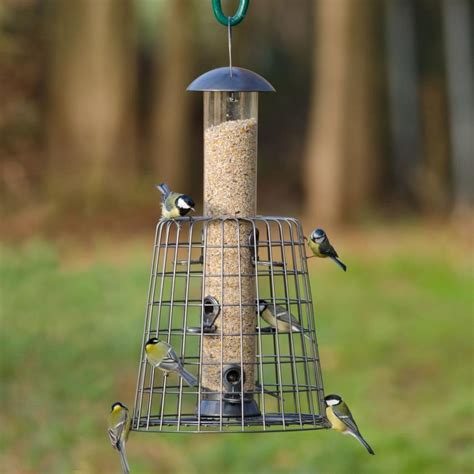 Squirrel-Resistant Caged Bird Feeders | Protect Bird Food