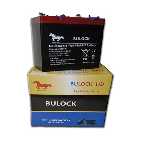 E-VAN Model 750 – 12V 75Ah High Capacity Battery for Electric Vans ...