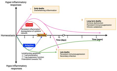 Advances and Challenges in Sepsis Management: Modern Tools and Future Directions