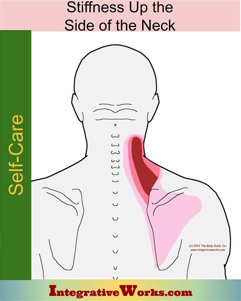 Stiff Side of Neck When Turning - Integrative Works
