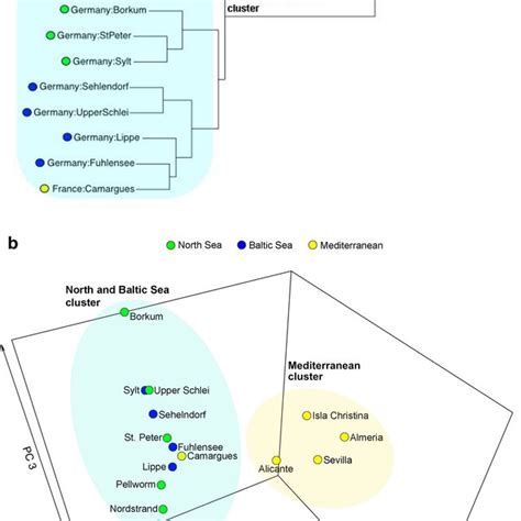 Image result for How to Read a Dendrogram