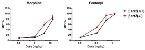 Biased versus Partial Agonism in the Search for Safer Opioid Analgesics