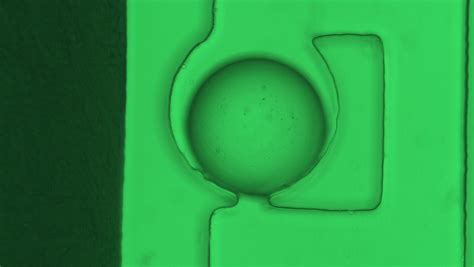 Thresholding Method Matlab Code 的图像结果