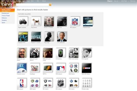 Bing Visual Search Engine 的图像结果
