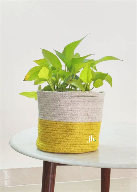 Get Vibrant Yellow Planter Or Storage Basket at ₹ 799 | LBB Shop