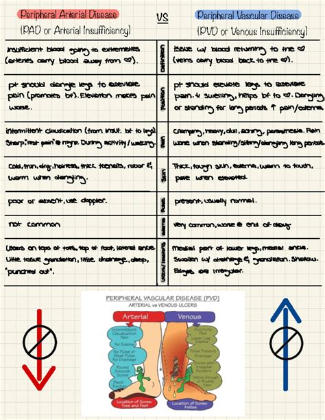 Studocu - Resúmenes, apuntes y preparación de exámenes gratis
