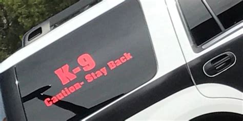 Canine crimefighter stops escape attempt