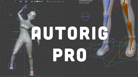 Kuvatulokset haulle blender rig collection