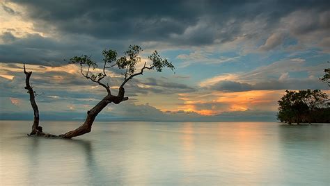 Talking 的图像结果