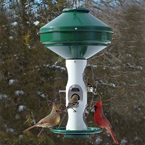 Avian Caged Sunflower & Mixed Seed Feeder 3 Gallon