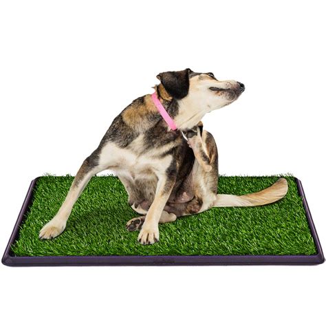 Artificial Grass Dog Pee Pads, Indoor/Outdoor Use Professional Pet ...