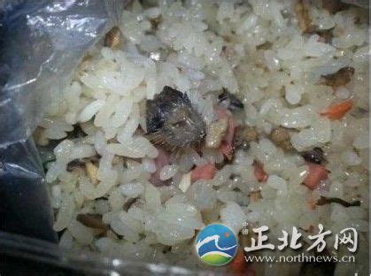 早餐惊现老鼠头 学校饮食安全令人担忧_媒体曝光_职业餐饮网