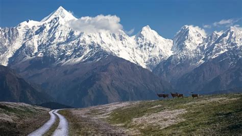 10 Places in India That Are Currently Snowing