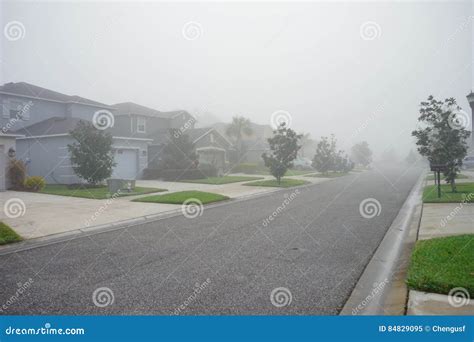 Morning Fog in florida stock image. Image of hazy, himachal - 84829095