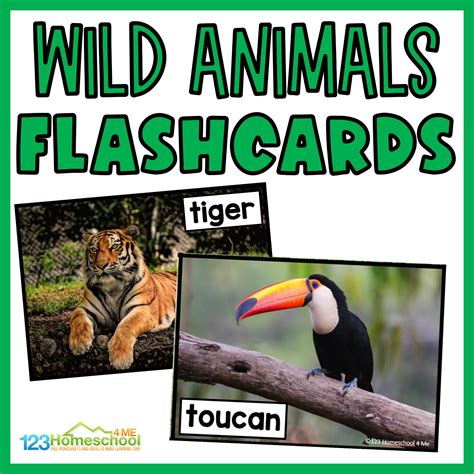 🐯 FREE Printable Wild Animal Flashcards with Real Pictures