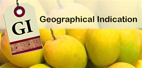 ISHAD MANGO - UPSC Current Affairs - IAS GYAN