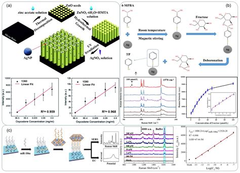 Silver-Based Surface Plasmon Sensors: Fabrication and Applications