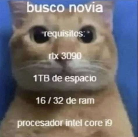busco novia : r/MAAU