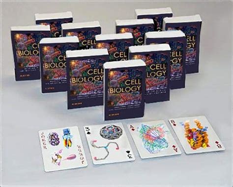 Buy Cell Biology Playing Cards: Cell Biology Playing Cards: Art Cards ...