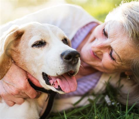 Annual Reports — Windham County Humane Society