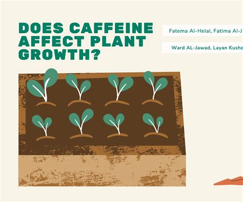 How Does Caffeine Affect Growth: What The Science Says In 2026